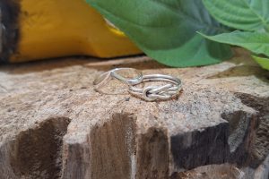 silver class Seminyak Ubud 3