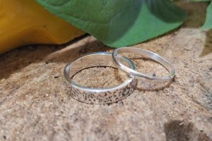 silver class Seminyak Ubud 7